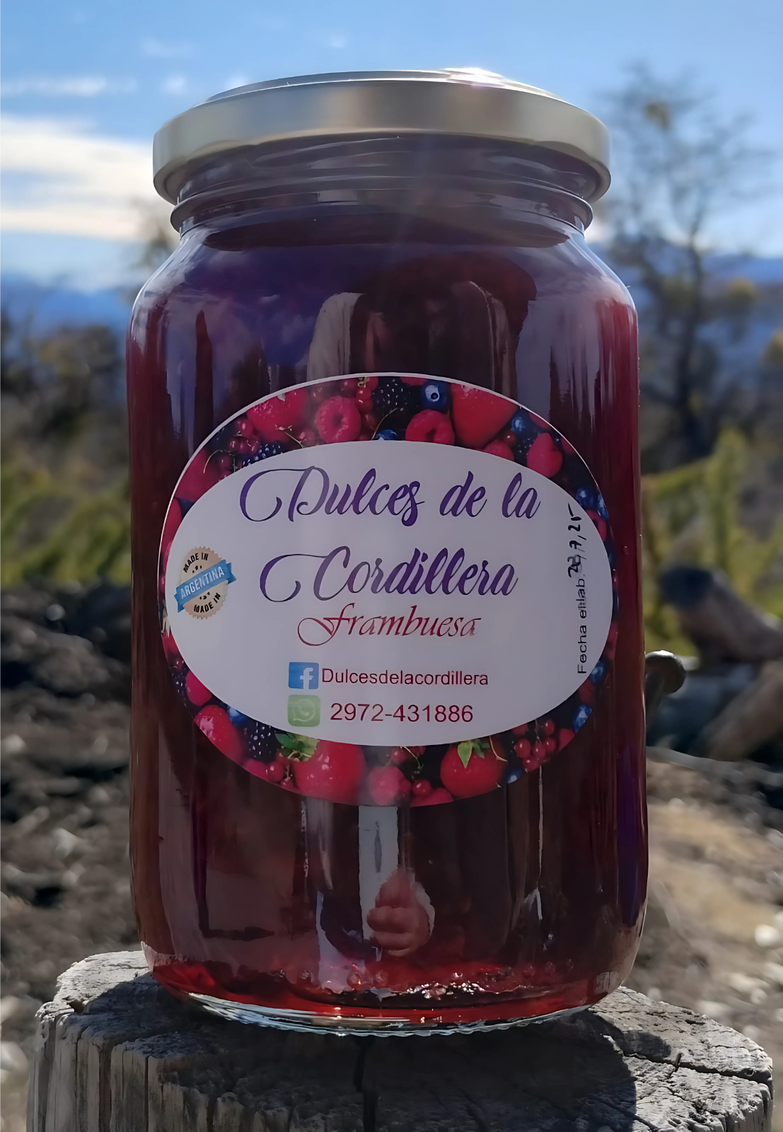 Dulce de Frambuesa