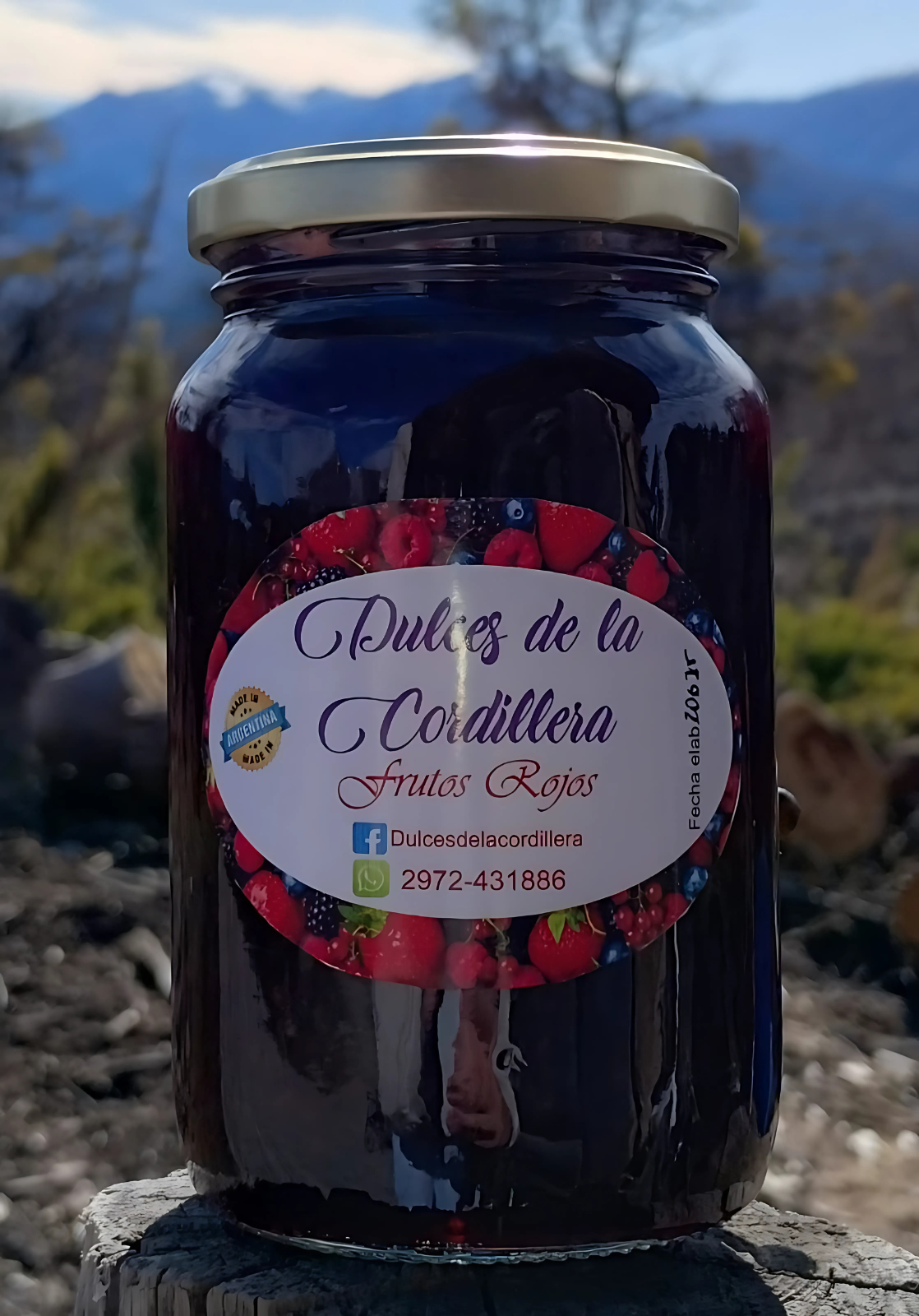 Dulce de Frutos Rojos